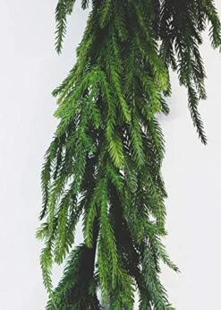 The Original Afloral Real Touch Norfolk Pine Garland - 60" -Department 56 Shop 51d4gqVTjYL