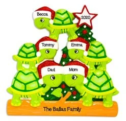 Turtle Family Of 5 Personalized Christmas Ornament Cute Turtle Family Ornament 5 Family Christmas Ornaments Couple With 3 Children Family Turtle Ornaments