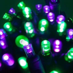 Wintergreen Lighting LED Purple, Green Halloween Mini Light Set, 70 5mm Lights, Indoor/Outdoor Halloween Light Decorations, 120V UL Certified, Black Wire -Department 56 Shop 51hO13M4WcL. AC
