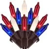 SWEET SHINE Red White & Blue Christmas Lights, 200 Lights 66 Ft Brown Wires, Pack Of 2 Strands 100 Count UL Listed Patriotic String Light (Red, White & Blue) -Department 56 Shop 51iX16hE6dL