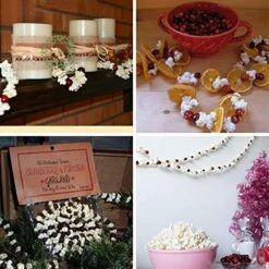 18 Feet Artificial Popcorn And Cranberry Garland Strand Old Fashion Christmas Tree Garland String For Christmas Holiday Season Vintage Decoration -Department 56 Shop 51kQ6noImeL