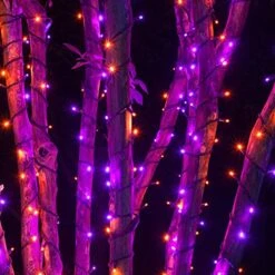 FUNPENY 300 LED Indoor String Lights, 100 FT Plug In Waterproof String Lights With 8 Modes For Halloween Thanksgiving Christmas Garden Decoration, Indoor And Outdoor Decorations (Purple-Orange) -Department 56 Shop 51naxK0oaeL