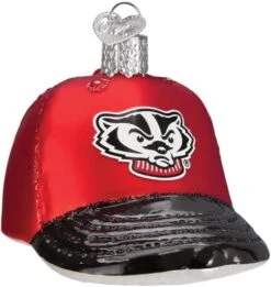 Old World Christmas University Of Wisconsin Badgers Glass Blown Ornaments For Christmas Tree Beanie 13 Old World Christmas University Of Wisconsin Badgers Glass Blown Ornaments For Christmas Tree Beanie -Department 56 Shop 51th1JygviL. AC