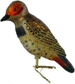 Old World Christmas Ornaments: Bird Watcher Collection Glass Blown Ornaments For Christmas Tree, Red-Tailed Hawk 26 Old World Christmas Ornaments: Bird Watcher Collection Glass Blown Ornaments For Christmas Tree, Red-Tailed Hawk -Department 56 Shop 51uaPfugUL. AC