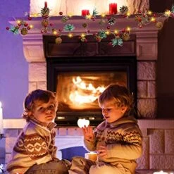 Christmas Pinecone Lights 7 FT 20 LED Battery Operated Red Berry With Pine Cone Garland Lights Indoor Outdoor Thanksgiving Decorations Christmas Party -Department 56 Shop 51uyqTcDEDL