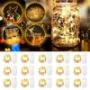20 Pack Fairy Lights Battery Operated 3.3ft 20 LED Mini String Lights Twinkle Lights Copper Wire Firefly Starry Lights For Mason Jars Wedding Party Christmas Centerpiece Table Decorations, Warm White -Department 56 Shop 51vWnBa7SmL