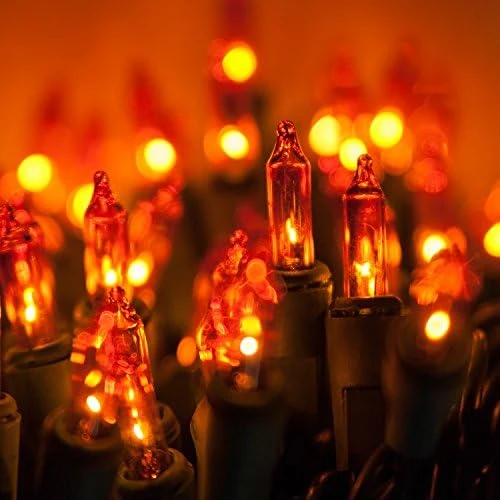 Kringle Traditions Incandescent Mini String Lights, Indoor Mini Tree Lights, Outdoor Christmas Mini Lights, Colorful Christmas Mini Lights, Green Wire (50 Lights / 6” Spacing / 25.5 Ft, Gold) 15 Kringle Traditions Incandescent Mini String Lights, Indoor Mini Tree Lights, Outdoor Christmas Mini Lights, Colorful Christmas Mini Lights, Green Wire (50 Lights / 6” Spacing / 25.5 Ft, Gold) - Image 15