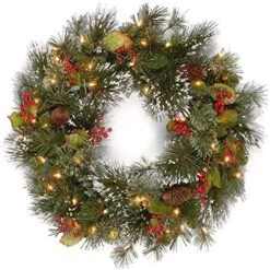 National Tree Company Pre-Lit Artificial Christmas Wreath, Green, Wintry Pine, White Lights, Decorated With Pine Cones, Berry Clusters, Frosted Branches, Christmas Collection, 24 Inches -Department 56 Shop 61 0L2KtB0L. AC