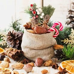 Haconba 16 Pack Christmas Berries Pine Cones Artificial Holly Pine Branches Picks Stems For Xmas Trees Decoration Garland Wreath Craft Winter Holiday Home Decor -Department 56 Shop 617hMu47fAL