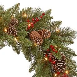 National Tree Company Pre-Lit Artificial Christmas Wreath, Green, Bristle Berry Pine, White Lights, Decorated With Frosted Branches, Pine Cones, Berry Clusters, Christmas Collection, 24 Inches 10 National Tree Company Pre-Lit Artificial Christmas Wreath, Green, Bristle Berry Pine, White Lights, Decorated With Frosted Branches, Pine Cones, Berry Clusters, Christmas Collection, 24 Inches -Department 56 Shop 61BpSsxnwiL