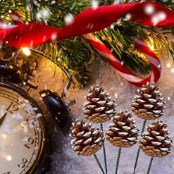 20 Pieces Christmas Pine Cones Decorations Picks - Snow Pine Cone For Xmas Tree Garland Wreath Ornaments Pinecones Decorating Winter Holidays Home -Department 56 Shop 61DsvUEUFrL