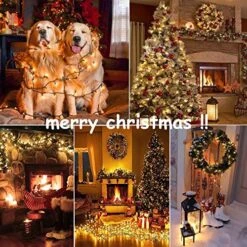 Hopolon Clear Christmas Lights Set 2PACK 50Count 13Feet Incandescent Bulb Mini String Lights For Indoor Christmas Tree Garland Birthday Wedding Festival Decor, Warm White 17 Hopolon Clear Christmas Lights Set 2PACK 50Count 13Feet Incandescent Bulb Mini String Lights For Indoor Christmas Tree Garland Birthday Wedding Festival Decor, Warm White -Department 56 Shop 61I3YivphBL