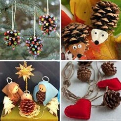 Supla 30 Pcs Christmas Hanging Real Preserved Pine Cones Ornaments 2"-3" Tall Christmas Tree Hanging Pinecone Ornaments -Department 56 Shop 61KQZBfK2VL