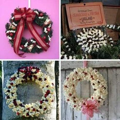 9.2 Feet Artificial Popcorn And Cranberry Garland Strand Old Fashion Christmas Tree Garland String For Christmas Holiday Season Vintage Decoration -Department 56 Shop 61NPCCzJRnL 1