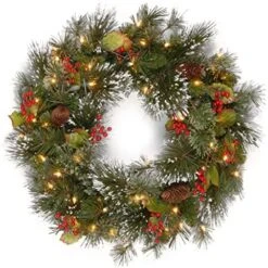 National Tree Company Pre-Lit Artificial Christmas Wreath, Green, Wintry Pine, White Lights, Decorated With Pine Cones, Berry Clusters, Frosted Branches, Christmas Collection, 24 Inches -Department 56 Shop 61RiEbpVPzL. AC
