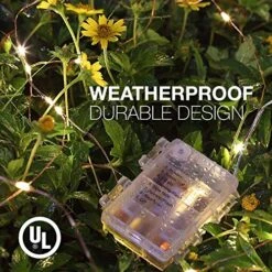 Tenergy 2 Pack Battery Operated LED String Lights, Includes 6 AA Batteries, 16.5ft Light String 50 Dimmable LEDs, Remote Control, Outdoor Ready For Christmas Decorations, Wedding Decor, UL Certified 10 Tenergy 2 Pack Battery Operated LED String Lights, Includes 6 AA Batteries, 16.5ft Light String 50 Dimmable LEDs, Remote Control, Outdoor Ready For Christmas Decorations, Wedding Decor, UL Certified -Department 56 Shop 61SZeBDd9jL