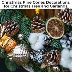 20 Pieces Christmas Pine Cones Decorations Picks - Snow Pine Cone For Xmas Tree Garland Wreath Ornaments Pinecones Decorating Winter Holidays Home -Department 56 Shop 61TOErbZQdL