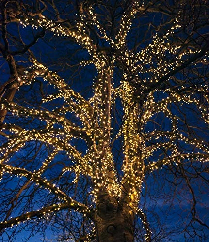 2 Packs Of DecoBrite LED 69ft (21m) 300 Ct Christmas String Lights Warm White - Green Wire, Indoor Outdoor Decorations For Christmas Tree, Patio, Garden (300-Warm White) 2 2 Packs Of DecoBrite LED 69ft (21m) 300 Ct Christmas String Lights Warm White - Green Wire, Indoor Outdoor Decorations For Christmas Tree, Patio, Garden (300-Warm White) - Image 2