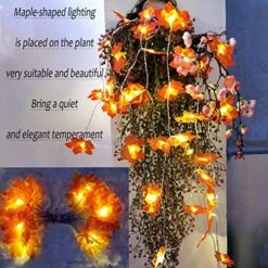 Ainkedin Thanksgiving Decorations, Lighted Fall Garland, Maple Leaf String Lights 30LED 9.8ft, Autumn Garland, For Thanksgiving Decor Halloween Decorations Indoor Fall Porch Decor -Department 56 Shop 61V9WX6d96L