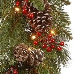 National Tree Company Pre-Lit Artificial Christmas Wreath, Green, Bristle Berry Pine, White Lights, Decorated With Frosted Branches, Pine Cones, Berry Clusters, Christmas Collection, 24 Inches 9 National Tree Company Pre-Lit Artificial Christmas Wreath, Green, Bristle Berry Pine, White Lights, Decorated With Frosted Branches, Pine Cones, Berry Clusters, Christmas Collection, 24 Inches -Department 56 Shop 61XNc0gptoL