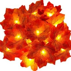 Ainkedin Thanksgiving Decorations, Lighted Fall Garland, Maple Leaf String Lights 30LED 9.8ft, Autumn Garland, For Thanksgiving Decor Halloween Decorations Indoor Fall Porch Decor -Department 56 Shop 61bo4fqbnnL. AC