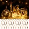 Ariceleo Wine Bottles String Lights, 24 Packs Micro Artificial Cork Copper Wire Starry Fairy Lights, Battery Operated Lights For Bedroom, Parties, Wedding, Decoration(24 Packs 2m/7.2ft Warm White) -Department 56 Shop 61jvaijlwgL