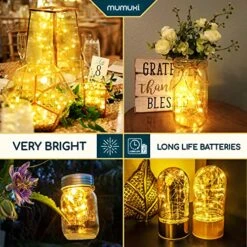 MUMUXI LED Fairy Lights Battery Operated String Lights [20 Pack], 3.3ft 20 Mini Fairy Lights Battery Powered Party Wedding Centerpiece Decorations Crafts Mason Jar Lights Firefly Lights, Warm White -Department 56 Shop 61ld81IFspL