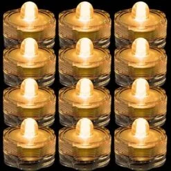 TDLTEK Waterproof Submersible Led Lights Tea Lights For Wedding, Party, Decoration (12 Pieces, Clear White) -Department 56 Shop 61t0aPMNksL. AC