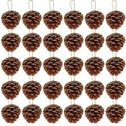 Supla 30 Pcs Christmas Hanging Real Preserved Pine Cones Ornaments 2"-3" Tall Christmas Tree Hanging Pinecone Ornaments