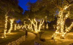 Wintergreen Lighting LED Purple, Green Halloween Mini Light Set, 70 5mm Lights, Indoor/Outdoor Halloween Light Decorations, 120V UL Certified, Black Wire -Department 56 Shop 9183pgkVDJL