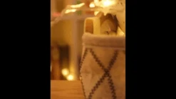 Twinkle Star 100 LED Star String Lights, Plug In Fairy String Lights Waterproof, Extendable For Indoor, Outdoor, Wedding Party, Christmas Tree, New Year, Garden Decoration, Warm White -Department 56 Shop 91LFVLpMP2L