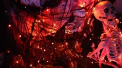 Toodour Halloween Orange Lights, 131ft 350 LED Plug In Halloween String Lights With 8 Modes And Timer, Connectable Outdoor Halloween Lights For Home, Party, Halloween Decor -Department 56 Shop 91V9roVBrQL