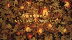 Christmas Lights, 20 Ft 40 LED Fall Leaves Garland With Lights, Waterproof Fall Lights Battery Operated With 8 Modes For Party Indoor Outdoor Thanksgiving Christmas Decorations Fall Decor -Department 56 Shop B1IYr3QRADS